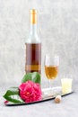Free Wine For Her Stock Image - 2072011