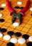 Free The Game Of Go Royalty Free Stock Photos - 2074468