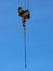 Free Crane Tackle Stock Photo - 2074500