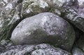 Free Boulder Sandwich Stock Photo - 2081020