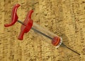 Free Cooking Syringe Royalty Free Stock Photo - 2081365