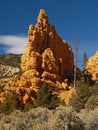 Free Sandstone Formations In Red Canyon Royalty Free Stock Image - 2083776