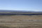 Free Wild Horses In Wide Open Places Royalty Free Stock Image - 2084546