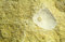 Free Fossil Shell Predates Stock Photography - 2089582