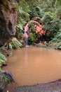 Free Exotic Natural Pool In The Azores Royalty Free Stock Photo - 2091835