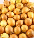 Free Brown Onions Royalty Free Stock Photography - 2095437