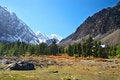Free Wood, Mountains And Glacier. Royalty Free Stock Image - 2095796