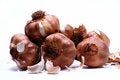 Free Smoked Garlic Royalty Free Stock Photos - 2099458