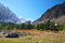 Free Wood, Mountains And Glacier. Royalty Free Stock Image - 2095796