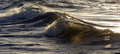 Free Sea Wave Texture Stock Photography - 20969222