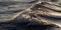 Free Sea Wave Texture Stock Images - 20969244