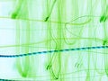 Free Green Abstraction Stock Image - 2103781