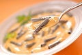 Free Junk Food Royalty Free Stock Photography - 2106097