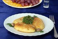 Free Chicken Zrazas With Mushrooms Stock Image - 2106561