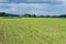 Free Landscape Of A Countryside Royalty Free Stock Photos - 2102018