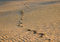 Free SAND DUNES Stock Image - 2108591