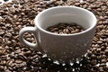 Free Cup Of Coffee Beans Royalty Free Stock Photography - 2111177