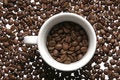 Free Cup Of Coffee Beans Stock Photo - 2111190
