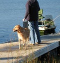 Free Wet Dog Stock Photos - 2114763