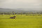 Free Cottage Farm Gold Royalty Free Stock Photos - 21193678