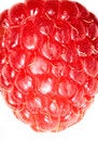 Free Raspberry Royalty Free Stock Photos - 2120598