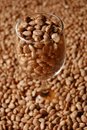 Free Beans In Glass Stock Images - 2122404