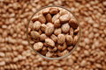 Free Beans In Glass In Focus Stock Photography - 2122632