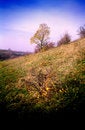 Free Autumn In Steppe Stock Photos - 2124463