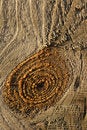 Free Knot Stock Image - 2124721