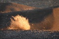 Free Sage Brush Lit By Rising Sun Stock Images - 2129784