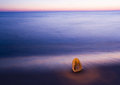 Free Seashell On The Beach Royalty Free Stock Photo - 2130405