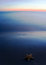 Free Seashell On The Beach Royalty Free Stock Photos - 2130398
