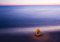 Free Seashell On The Beach Royalty Free Stock Photo - 2130405