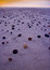 Free Beach Royalty Free Stock Photography - 2130497