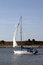 Free Sailboat With Full Sails Royalty Free Stock Images - 2131719