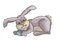 Free Easter Bunny With Easter Egg Stock Image - 2139991