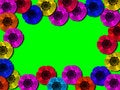 Free Multi-coloured Flowe Stock Images - 2149694