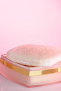 Free Cosmetic Powder Stock Photo - 2155040