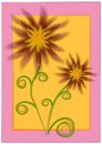 Free Unique Flowers Pink Yellow Royalty Free Stock Images - 2158459