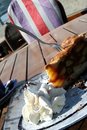 Free Cake And Cream Royalty Free Stock Photography - 2166007