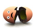 Free Broken Egg 36 Stock Photo - 2168640