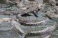 Free Crocodiles Stock Image - 2169681