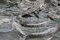 Free Crocodiles Stock Image - 2169681