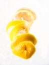 Free Grapefruit Peel Royalty Free Stock Photos - 2170048