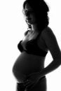 Free Pregnant In The Studio Royalty Free Stock Images - 2180909