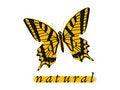 Free Natural Royalty Free Stock Photography - 2184067