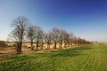 Free Road Near Green Field Stock Photography - 2185212
