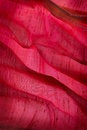 Free Red Canvas With Tuck Stock Image - 2188921