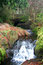 Free Rainforest Stream Royalty Free Stock Photography - 2183377