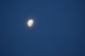 Free Eerie Moon Stock Image - 2190011